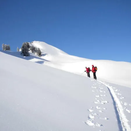 Vakantiehuis Sinz Schwarzenberg im Bregenzerwald
